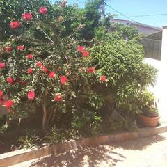 Отель Лаура, Адлер, Краснодарский край