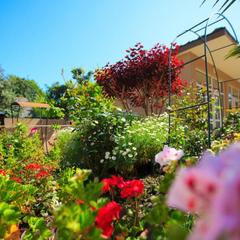 Гостевой дом Марго на Луговой, Адлер, Краснодарский край