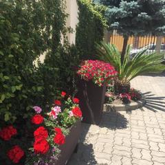 Гостевой дом-музей На Цветочной, Адлер, Краснодарский край