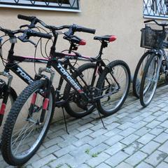 Гостевой дом Олимпийский Парк, Адлер, Краснодарский край