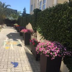 Гостевой дом-музей На Цветочной, Адлер, Краснодарский край