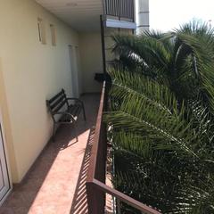 Гостевой дом-музей На Цветочной, Адлер, Краснодарский край