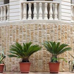 Отель Мари, Адлер, Краснодарский край