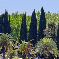 Отель Мари, Адлер, Краснодарский край