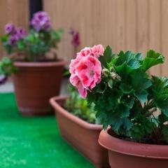 Гостевой дом Ульяна на Ульянова, Адлер, Краснодарский край