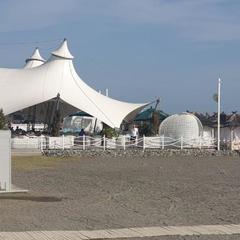 Отель Мари, Адлер, Краснодарский край