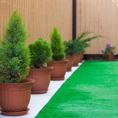 Гостевой дом Ульяна на Ульянова, Адлер, Краснодарский край