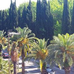 Отель Мари, Адлер, Краснодарский край