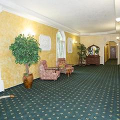 Гостевой дом Спутник, Адлер, Краснодарский край