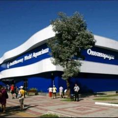 Гостевой дом A320, Адлер, Краснодарский край