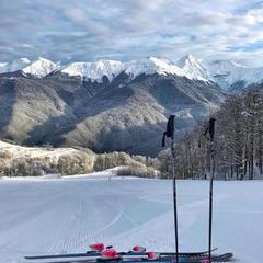 Отель Фестиваль, Сочи, Краснодарский край