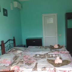 Гостевой дом София на Вегетаринской, Адлер, Краснодарский край