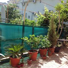 Гостевой дом София на Вегетаринской, Адлер, Краснодарский край