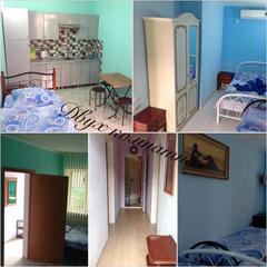 Гостевой дом София на Вегетаринской, Адлер, Краснодарский край