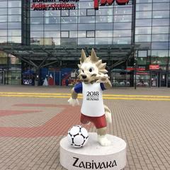 Гостевой дом София на Вегетаринской, Адлер, Краснодарский край