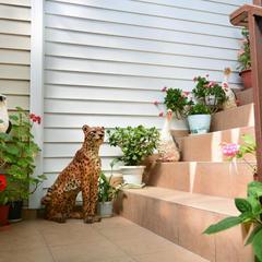 Гостевой дом Звездочка, Адлер, Краснодарский край