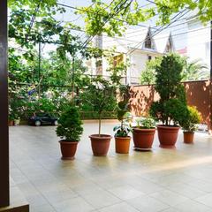 Гостевой дом Звездочка, Адлер, Краснодарский край