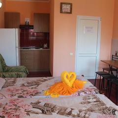 Гостевой дом София на Вегетаринской, Адлер, Краснодарский край