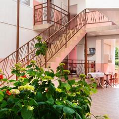 Гостевой дом Звездочка, Адлер, Краснодарский край