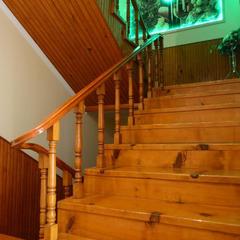 Гостевой дом Звездочка, Адлер, Краснодарский край