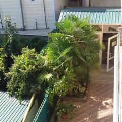 Гостевой дом София на Вегетаринской, Адлер, Краснодарский край