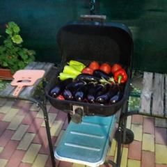 Гостевой дом София на Вегетаринской, Адлер, Краснодарский край