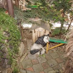 Мини-отель Альбатрос, Адлер, Краснодарский край