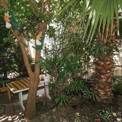 Мини-отель Альбатрос, Адлер, Краснодарский край