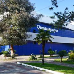 Гостевой дом Звездочка, Адлер, Краснодарский край