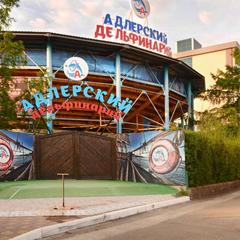 Гостевой дом Звездочка, Адлер, Краснодарский край