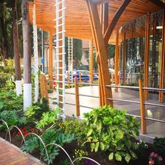 Отель Alana Royal, Адлер, Краснодарский край