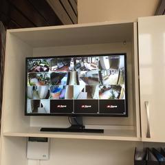 Отель Palm Resort, Адлер, Краснодарский край