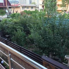 Отель Palm Resort, Адлер, Краснодарский край