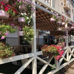 Отель Грифон, Адлер, Краснодарский край