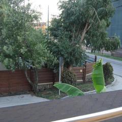 Отель Palm Resort, Адлер, Краснодарский край