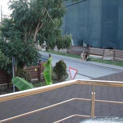 Отель Palm Resort, Адлер, Краснодарский край