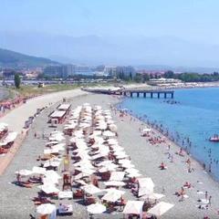 Отель Грифон, Адлер, Краснодарский край