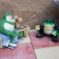 Гостевой дом У дяди Вани на Аллейной, Адлер, Краснодарский край