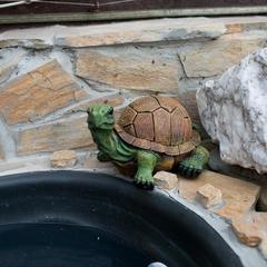 Гостевой дом У дяди Вани на Аллейной, Адлер, Краснодарский край