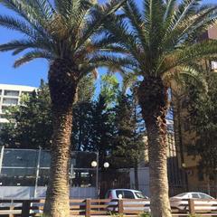 Отель F&G, Адлер, Краснодарский край