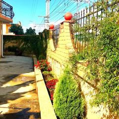 Мини-отель Адлер, Адлер, Краснодарский край