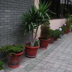 Гостевой дом У Черного моря, Адлер, Краснодарский край