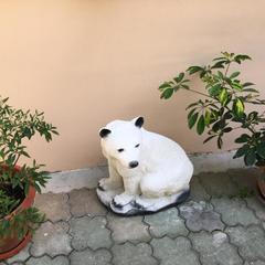 Гостевой дом У Черного моря, Адлер, Краснодарский край