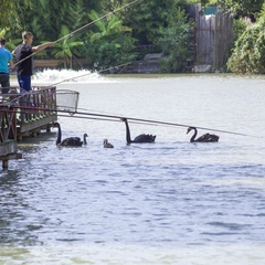 База отдыха Ачигварское озеро, Адлер, Краснодарский край