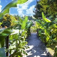 База отдыха Ачигварское озеро, Адлер, Краснодарский край