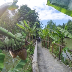 База отдыха Ачигварское озеро, Адлер, Краснодарский край