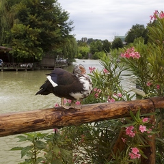 База отдыха Ачигварское озеро, Адлер, Краснодарский край