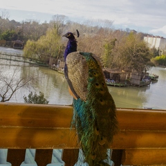 База отдыха Ачигварское озеро, Адлер, Краснодарский край