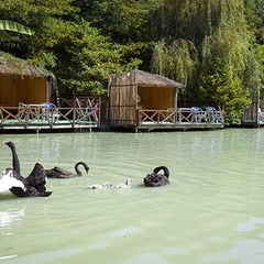 База отдыха Ачигварское озеро, Адлер, Краснодарский край