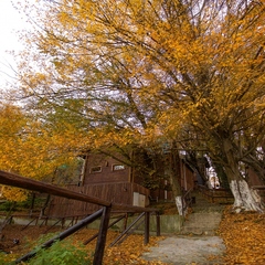 База отдыха Ачигварское озеро, Адлер, Краснодарский край